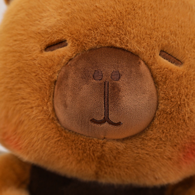 Nouveau Capybara en peluche An - Best Kids Toys Xmas avis et prix